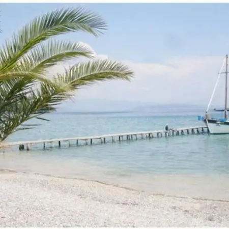 Lägenhet Terranova -rose *