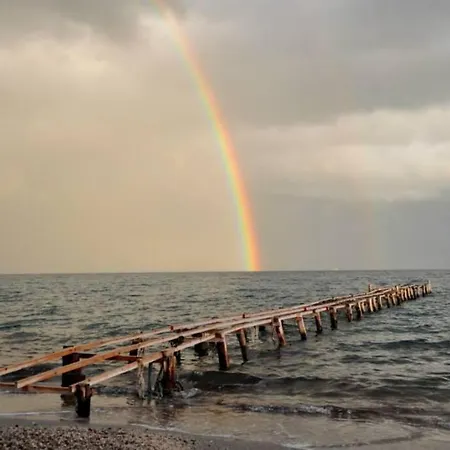 Terranova -rose Ipsos